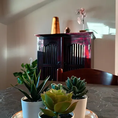 Marysa 4* جيارديني ناكسوس